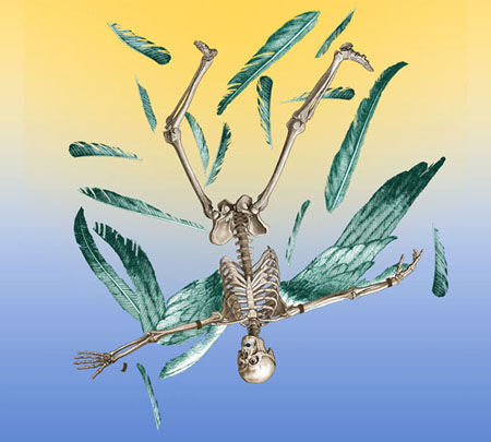 Icarus (Powder Blue)