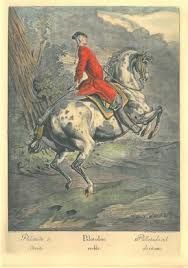 Commander In Chief On His High Horse Haint Budge'n