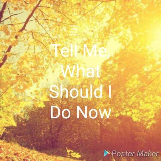Tell Me, What Should I Do Now