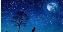 On A Moonlite Night