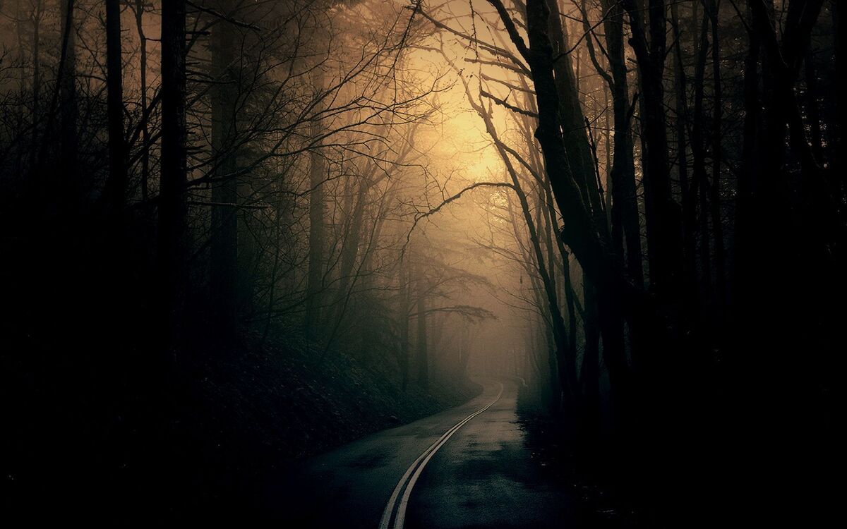 Till Shadows Dawn