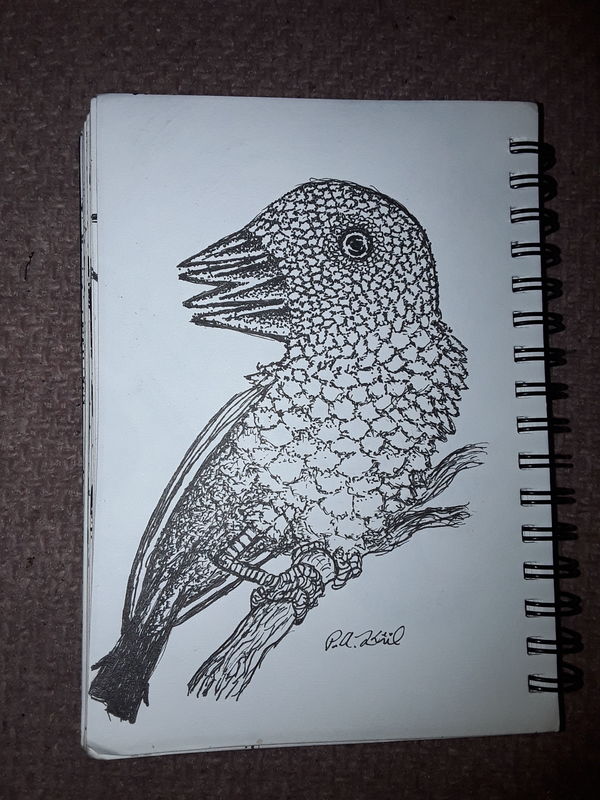 Double beaked 