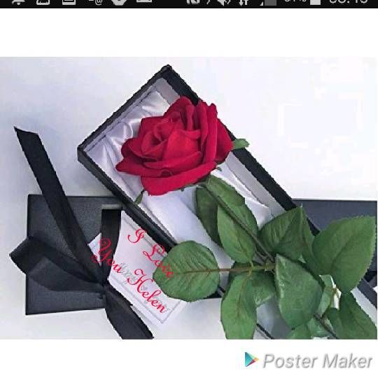 One Red Rose