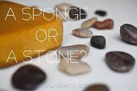 Sponge Or Stone