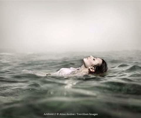 Untitled.
