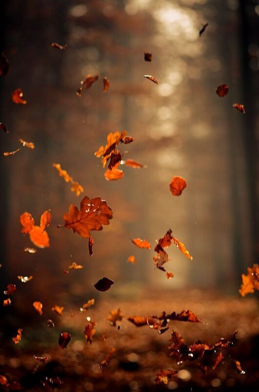 New England Autumn