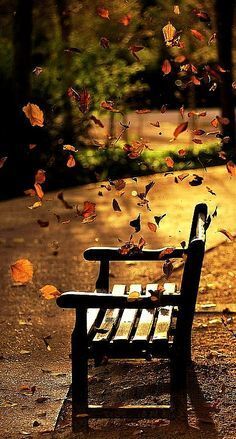 Rustic Leaves...