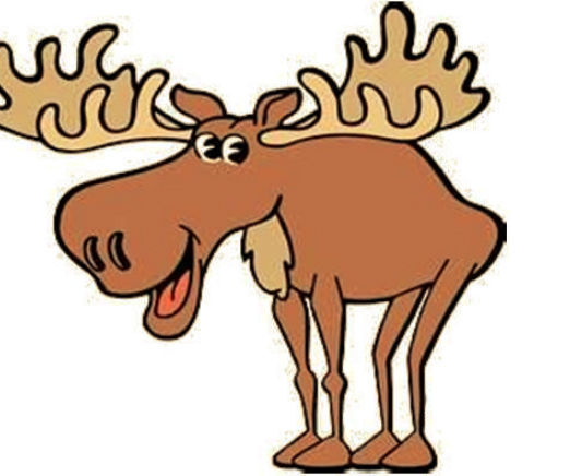 Marvin Moose
