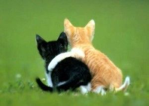 The meaning of a friend