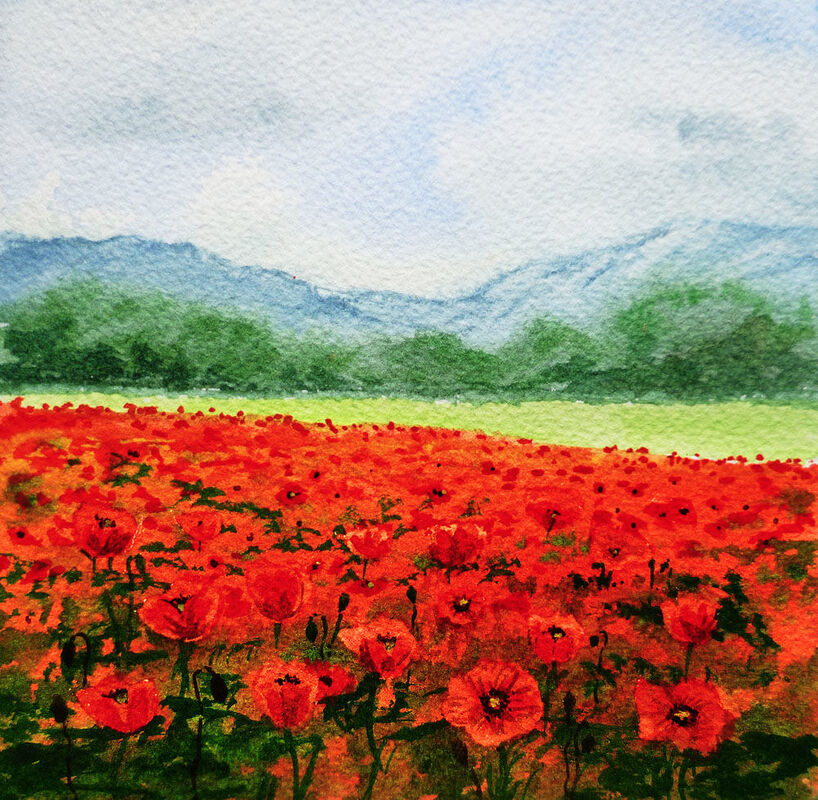 RED POPPIES IN A FIELD