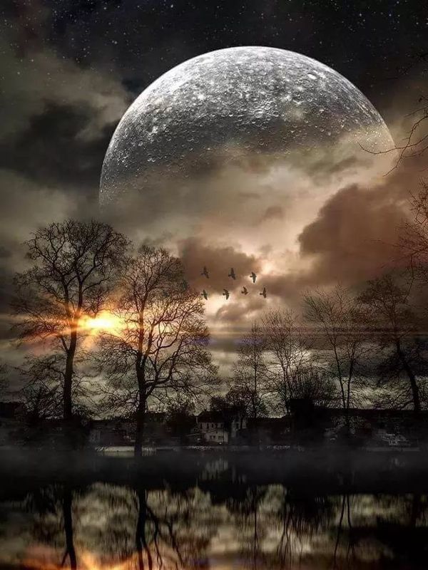 Morning Moon...
