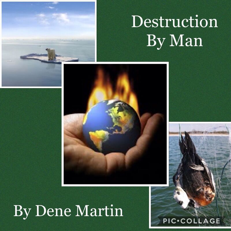 Distruction By Man
