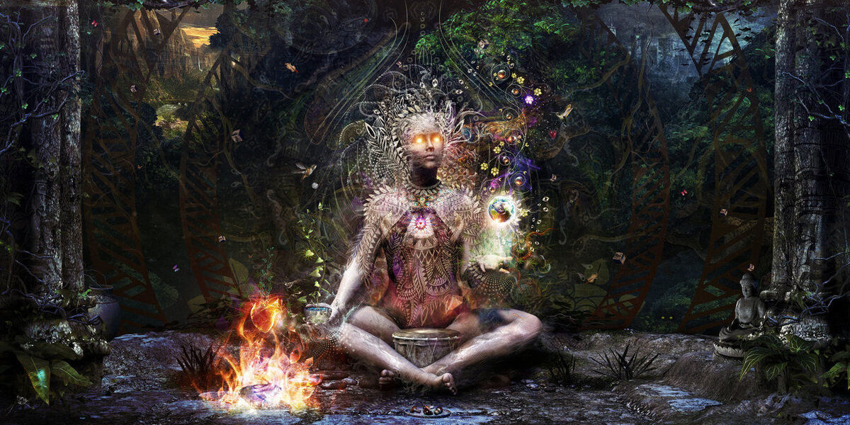 Cat Food And Consciousness