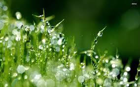 New Life Begins