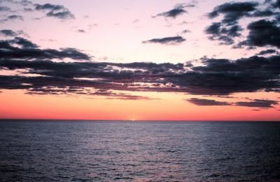 What will a day bring 