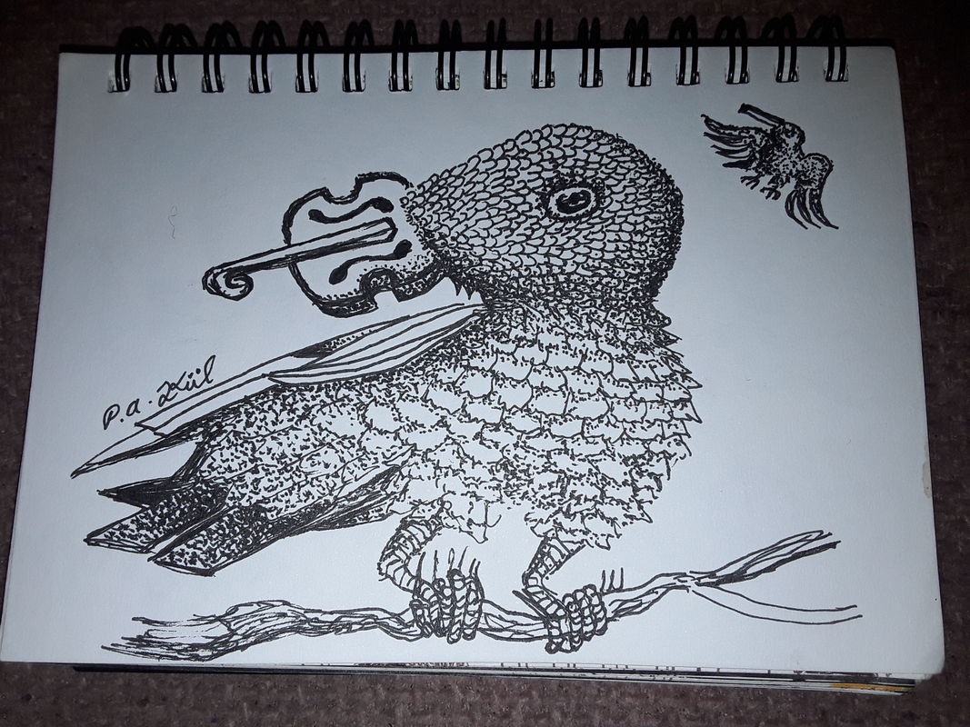 Fiddle bird