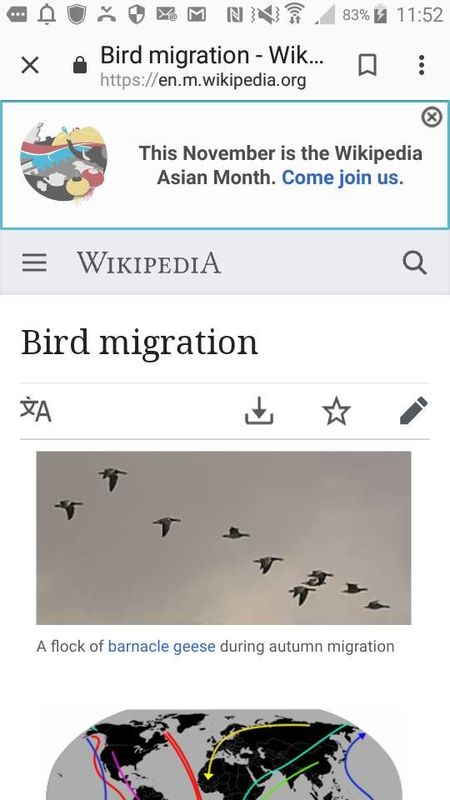 Migration