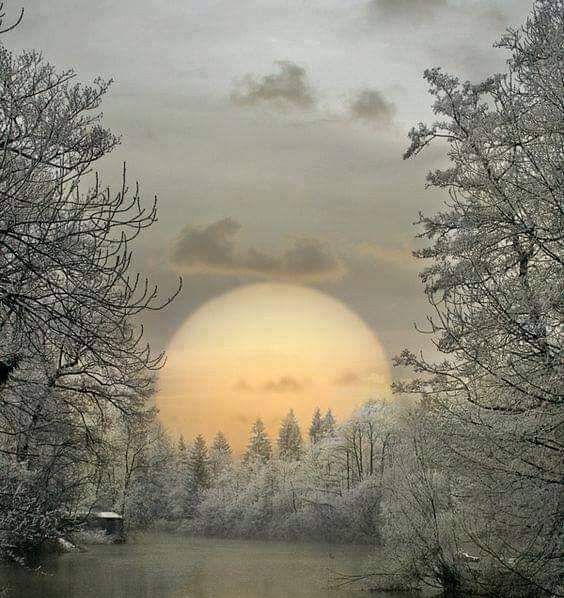 Winter sun...