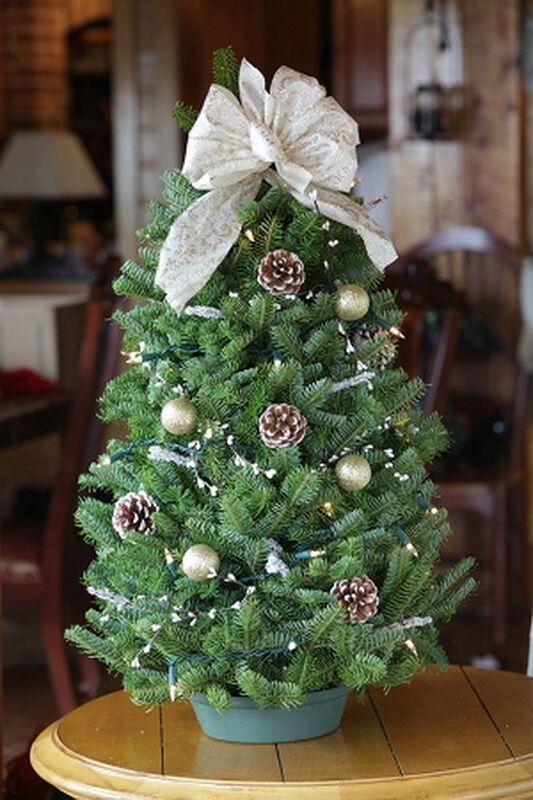 Decorating