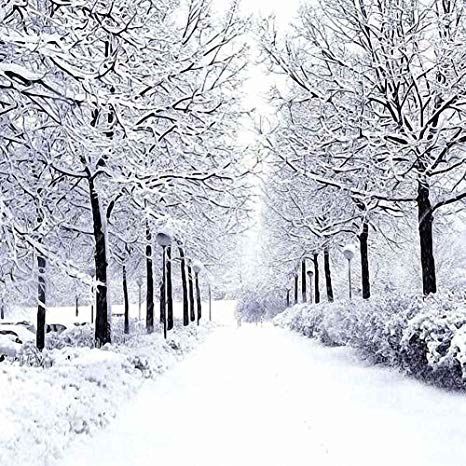 Winter