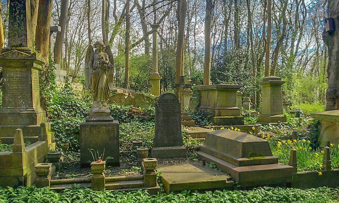 Life Beyond Death