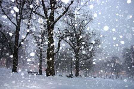 First snow