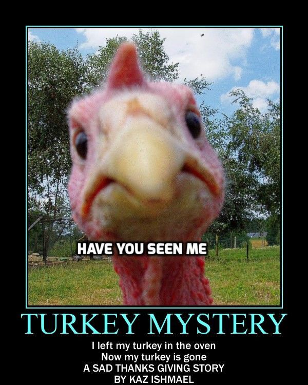 Turkey mystery