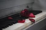 YOU PLAYED HER HEART
