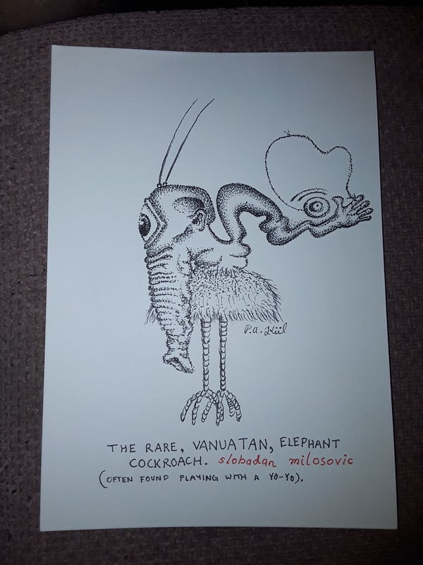Weird creation 