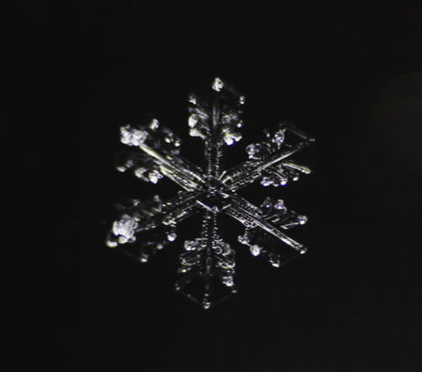 Snowflakes 