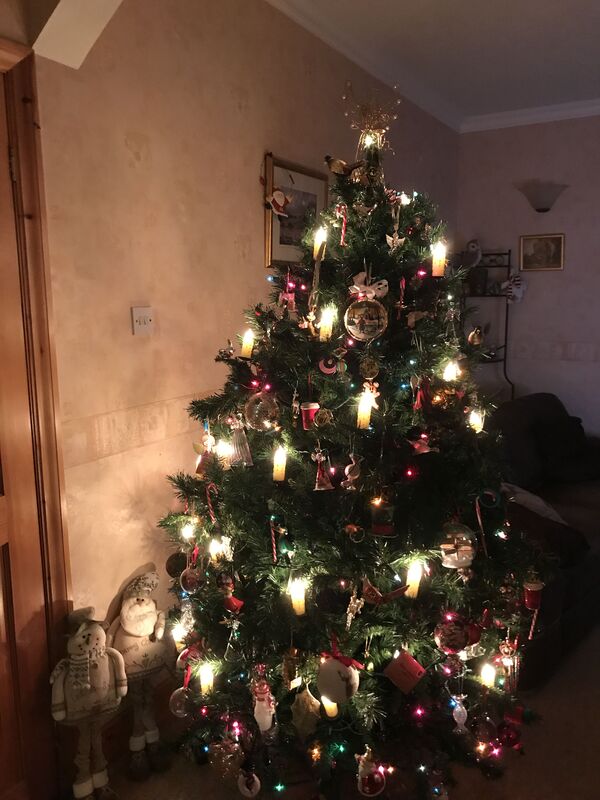 My Christmas tree ?❤️
