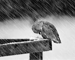 Without...