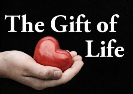 Lifetime