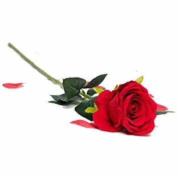 One Fake Rose