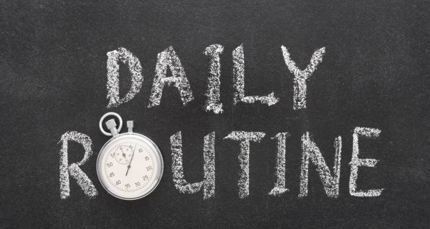 THE DAILY ROUTINE