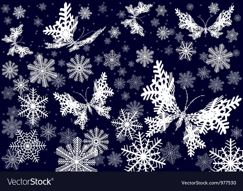 Winter Butterflies