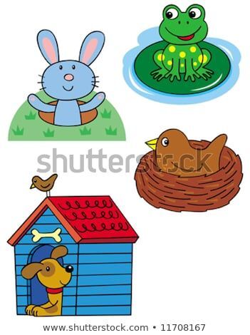 ANIMAL HOMES