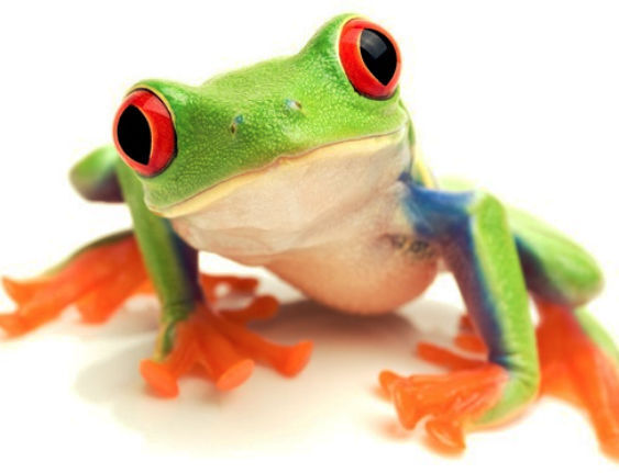 Antifroggation