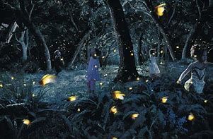 Fire Flies