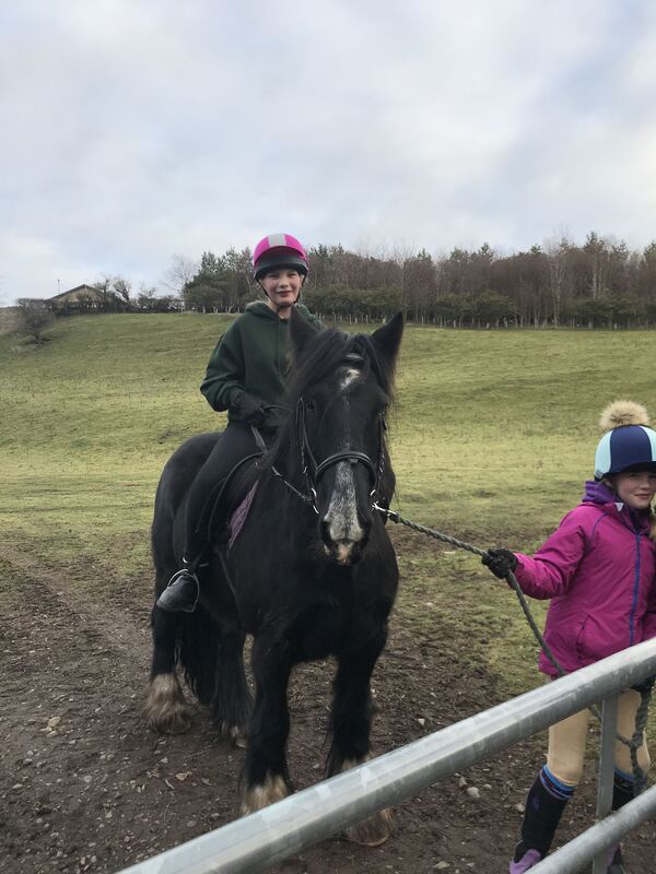 A horse called Billy ?
