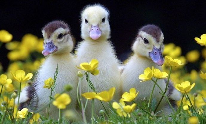 Till Springtime does breakthroughβ€οΈ
