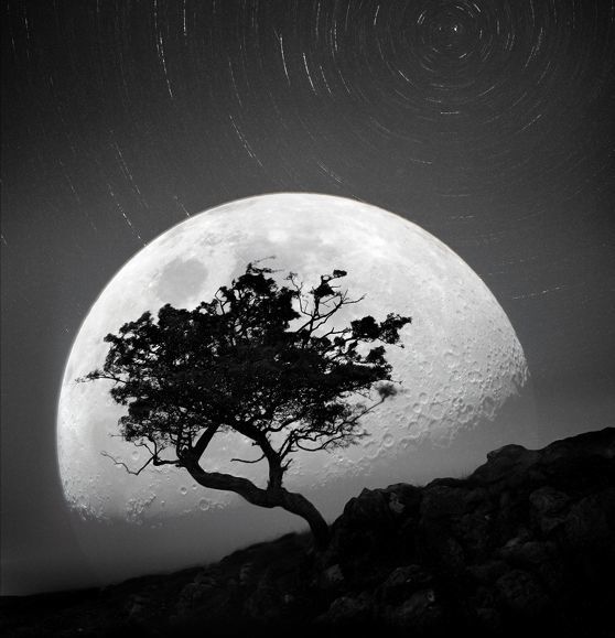 Moonchild...