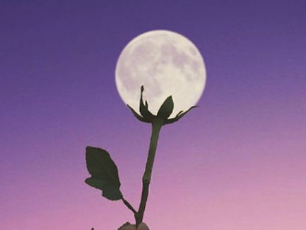 Moonstruck!
