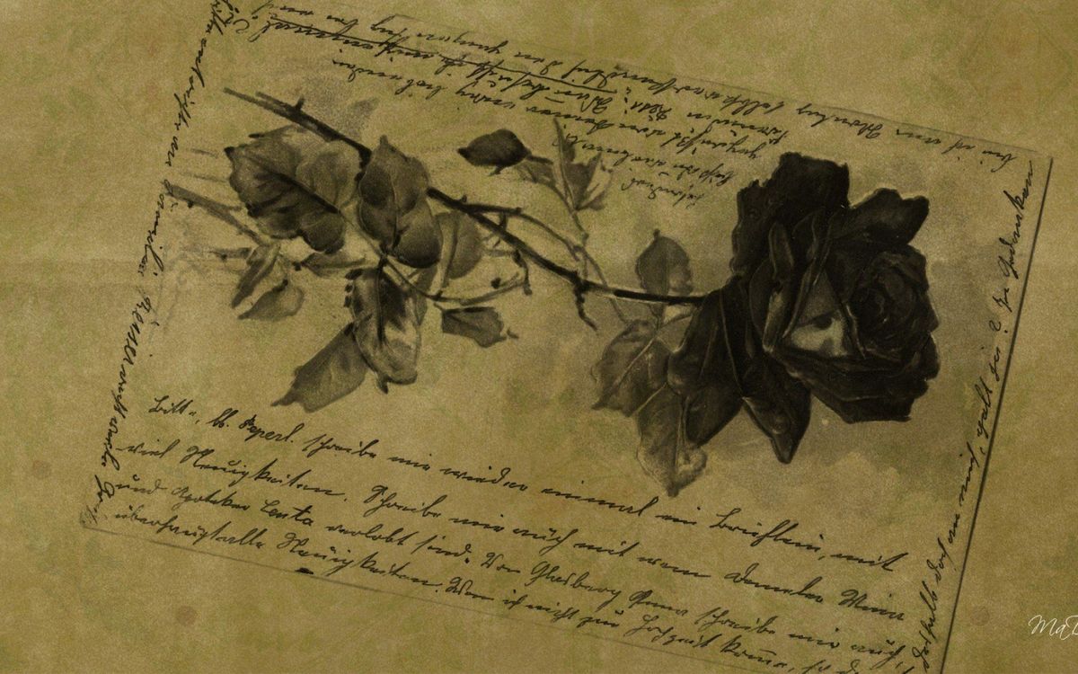"Flower of creativity" By Ben Goode 2013 (c)