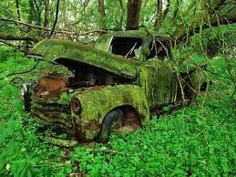 Moss Cowed Covenant I Keep Putin Off...