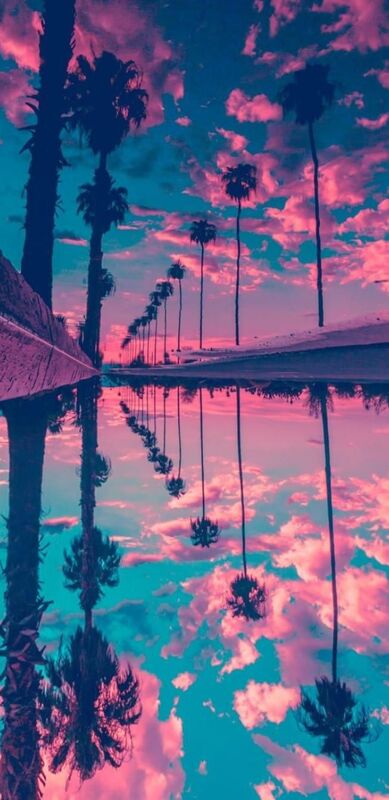 Dreams