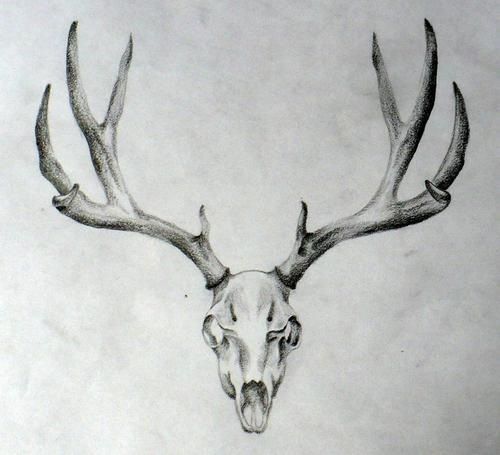 The Hunt