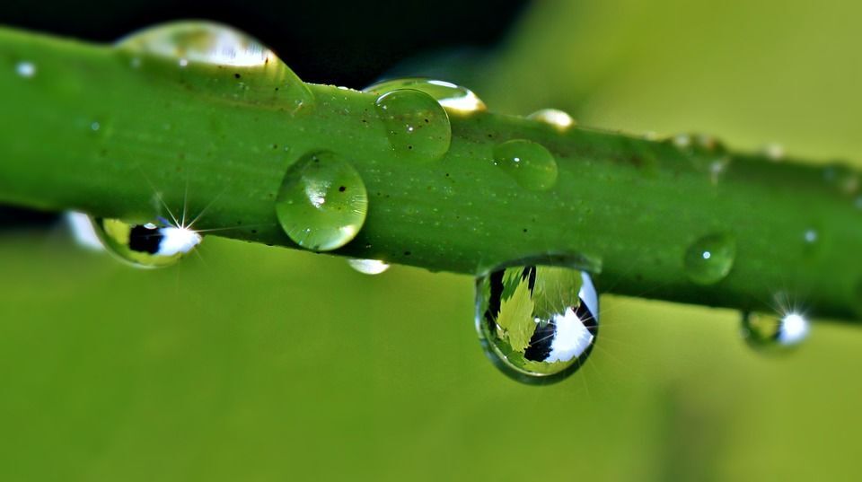 Philosophy of a Raindrop