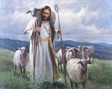 Shepherd