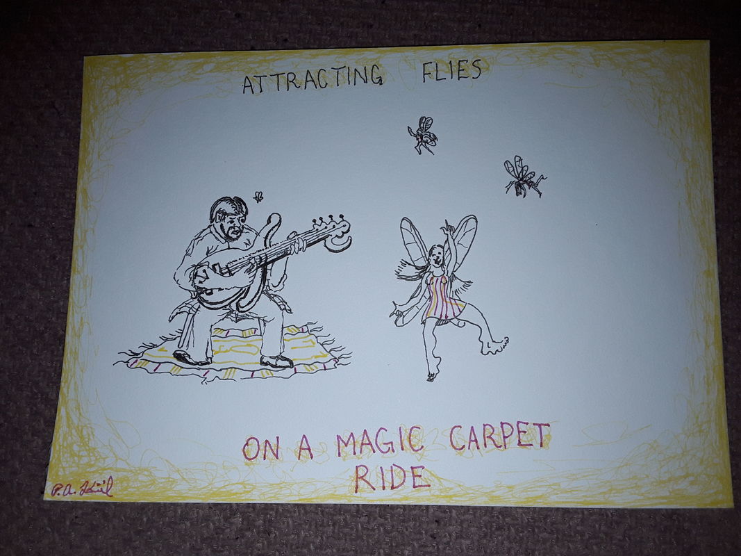 Attracting flies 